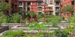 Senior Housing - Golden Bamboo III Senior Gallery 14