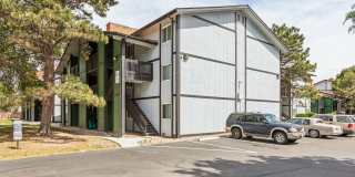 Park at Palmer Gallery 40