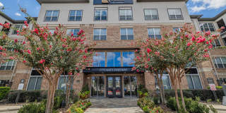 Auxo at Memorial Gallery 20