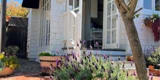 1262 Catalina Gallery 7