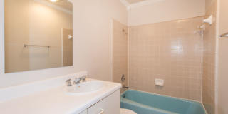 Charming 3/2 in South Austin at 290 and the Y in Oak Hill Charming 3/2 in South Austin at 290 and the Y in Oak Hill Gallery 27