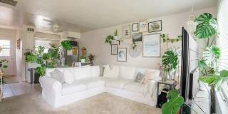19842 Cambridge Lane Gallery 3