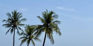 3120 S Ocean Boulevard Gallery 1