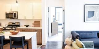 The Olive The Olive Gallery 22