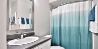 The Harlow Gallery 18