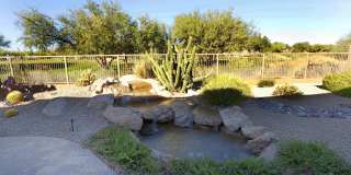6894 E THIRSTY CACTUS Lane Gallery 40
