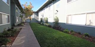 The Canopy Gallery 35