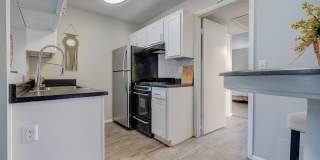 Ashford Apartments Gallery 6