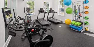 The Murray Gallery 20