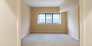 The Ambassador at Library Square Gallery 17