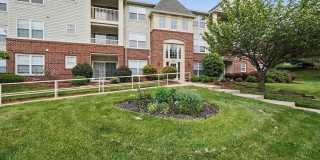 300-G TALL PINES Court Gallery 1