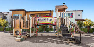 Harvest in Tracy Gallery 50