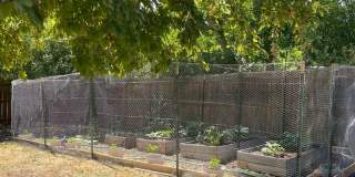 Charming Updated Home with Spacious Yard Gallery 19