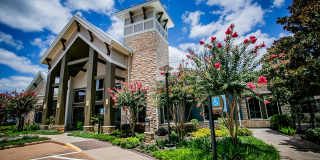 Aliso Briar Forest Gallery 4