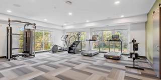 The Aurilla Gallery 37