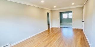 426 Miltonia St Gallery 10