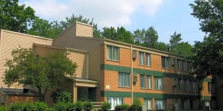 Woodland Park Gallery 10