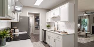 Park Valley Apartments Gallery 4