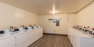 Willamette Terrace Gallery 3