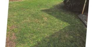 Cozy 2 bedroom in convenient Pearl City Gallery 3