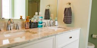 3 Bedroom 2.5 Bathroom with Large Fence Yard Gallery 21