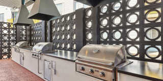 The Skylark Gallery 13