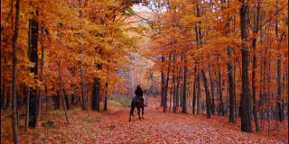 301 Riverwalk Place Gallery 13