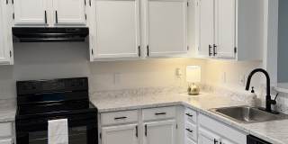 ReNew Norwich Gallery 1