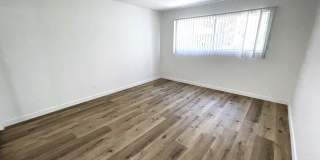 10908 Rose Gallery 20