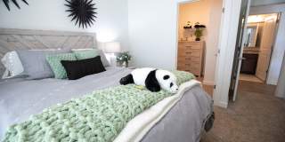 Ascend at Hilltop Gallery 88