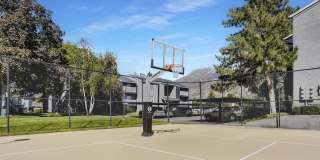 Royal Farms Gallery 25