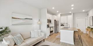 Ascend at Woodlands Gallery 57