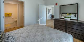 Sunny, Modern Allston 2-Bed/2-Bath Steps from Packard's Corner! Gallery 16
