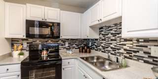 Wildwood at Villa Rica Gallery 21