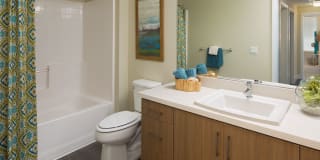 Avalon Vista Gallery 12