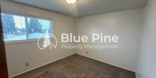 542 Gladstone Street Gallery 11