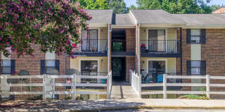 Arlington Apartments Gallery 19