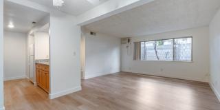 Prospera Village Gallery 7