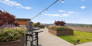 Ballard Public Gallery 60