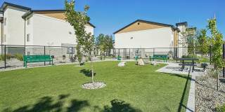 Carrington Square Gallery 35