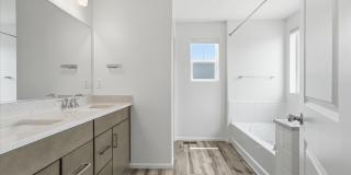 14136 Blue Heart Ct Gallery 12
