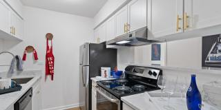 Arlington Heights Gallery 16