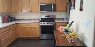 8523 Barberry Gallery 18