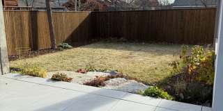 Silver Maple Stunning Gallery 34