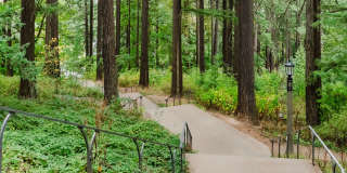 2121 Belmont Gallery 48