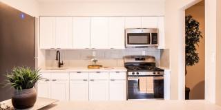 Hampton Gardens Gallery 1