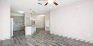 RIZE at Winter Springs Gallery 160