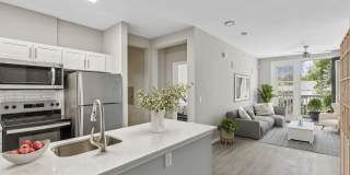 Nav850 at Olde Towne Gallery 4