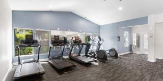 Avana Star Lake Gallery 86