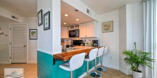 WINTER AT THE BEACH OCTOBER-FEBRUARY Gallery 1